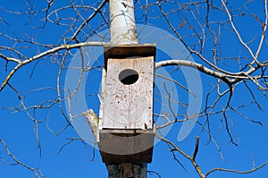 Birdhouse on the tree.