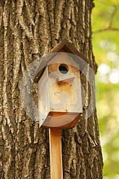 Birdhouse on a tree trunk.  A bird house made of wood with its own hands.