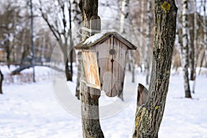 Birdhouse on a tree in the winter forest.