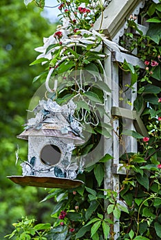 Birdhouse & trellis