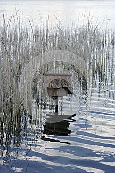 Birdhouse in the water
