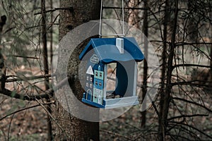 Birdhouse weighs on a branch in the forest