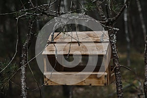 Birdhouse weighs on a branch in the forest