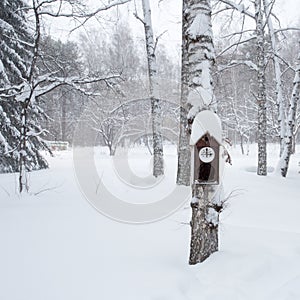 Birdhouse in the winter forest