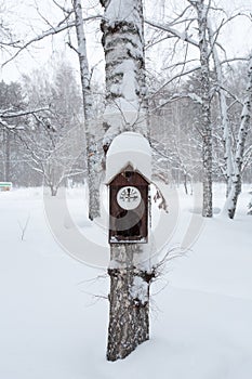 Birdhouse in the winter forest