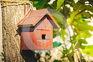 Birdhouse wooden copyspace orange birds home tree birdbox