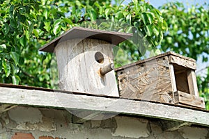 Birdhouse. Wooden house for birds. Birdhouse on a background of green foliage