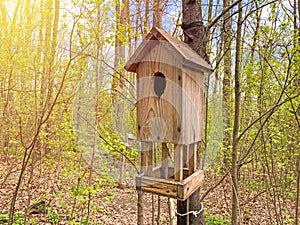 A Birdhouse in the Woods. Birdhouse on a tree. A nest box, nestbox, birdhouses or a birdbox, bird box. Birdhouse with a drinking