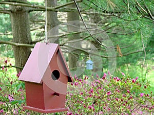 Birdhouses