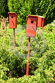 Birdhouses