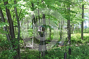 Birdhouses at beaver lake