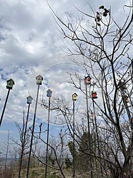 Birdhouses in Botanical Garden