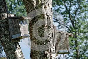 Birdhouses. Nest box on trees