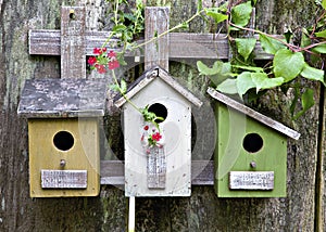 Birdhouses on old wooden fence