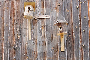 Birdhouses and pointer on the wooden wall of barn