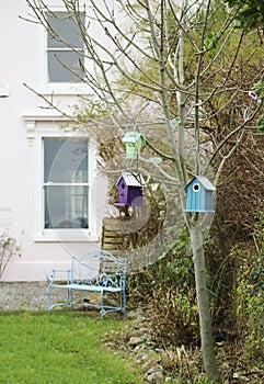 Birdhouses on the tree