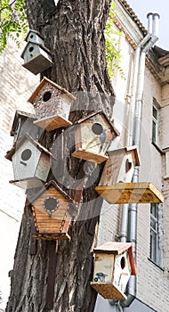 Birdhouses on a tree.