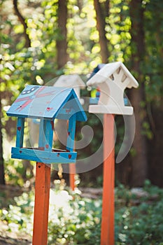 Birdhouses on the tree