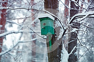 Birdhouses on the trees in snowy winter