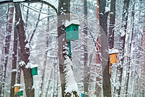 Birdhouses on the trees in snowy winter