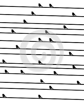 Birdies on a wire.