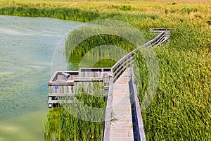 Birding Boardwalk