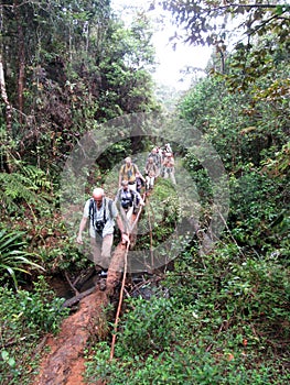 Birding tour in Madagascar