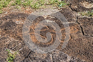 Birdman Petroglyph carvings near Ahu Tongariki platform - Easter Island, Chile photo