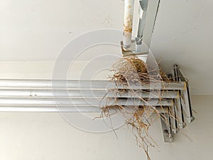 birdnest on aluminum clothes racks at the balcony of the apartment. is a reservoir of germ