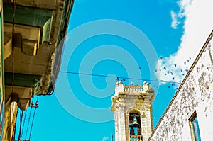 Birds above a bell tower in Rabat, Malta