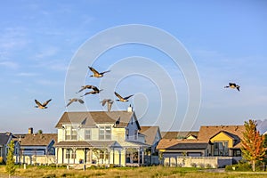 Birds against sky over homes in Daybreak Utah