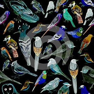 Birds of America- pets and wild birds seamless watercolor background