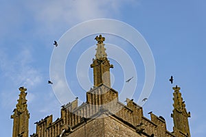 Birds arrive at evening time to roost on tower of Saint Edwards medieval church in Stow on Wold photo