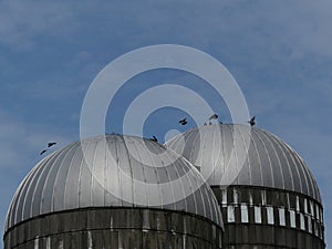 Birds atop two Silos with blue sky background