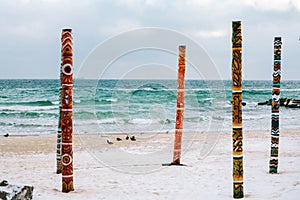 Birds on the beach. black sea in winter