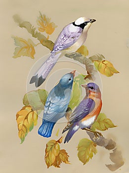 Birds on a blossoming tree