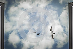 Birds in a blue clouded sky