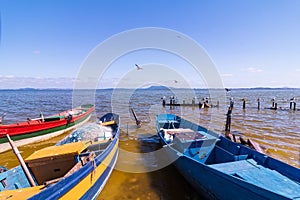 Birds and boats in the lake