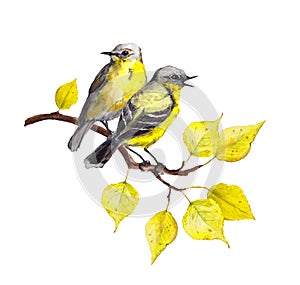 Birds at branch with autumn leaves. Watercolor