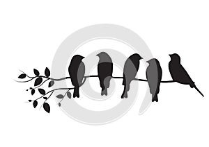 Birds On Branch Illustration, Birds on Tree Design, Birds Silhouette, Wall Decals. Art Design, Wall Design