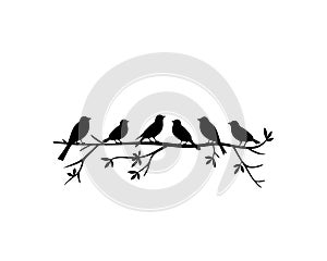 Birds on branch silhouette, vector