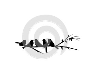 Birds on branch silhouette vector