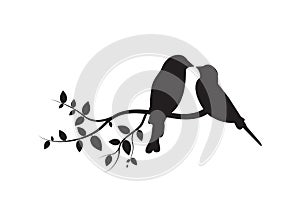 Birds on Branch, Wall Decals, Couple of Birds in Love, Birds Silhouette on branch isolated on white ba