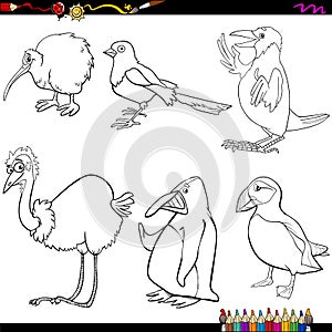 Birds cartoon coloring page