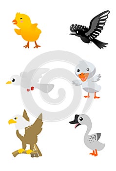 Birds Cartoon Set 1