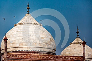 Birds circle over top of marble domes of the adjoining buildings next to Taj Mahal