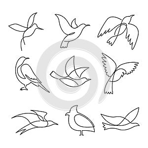 Birds continuous line drawing elements set