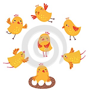 Birds. different poses. cute vector characters