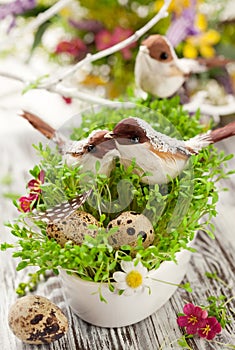 Birds and eggs on the cress photo
