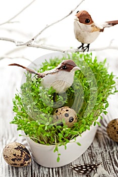 Birds and eggs on the  cress